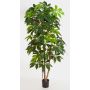 Schefflera deluxe artificiale COOPER, tronchi veri, verde, 190cm