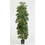 Schefflera artificiale ANDREW, tronchi naturali, verde-bianco, 180cm