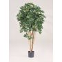 Schefflera natura finta SIENNA, tronchi veri, verde, 110cm