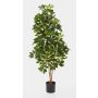 Schefflera artificiale SAMANTHA, tronchi veri, verde-bianco, 170cm