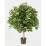 Schefflera finta ANTHONY, tronco naturale, verde-bianco, 110cm, Ø90cm