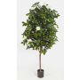 Albero di camelia finto RIKA, tronco vero, fiori, bianco, 170cm