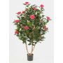 Camelia japonica finta KAORI, tronchi veri, fiori, fucsia, 150cm