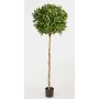 Albero d'alloro artificiale CAIUS, tronco vero, verde, 140cm, Ø40cm