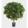 Alloro artificiale TIBERIUS, tronco vero, frutti, verde, 80cm, Ø60cm