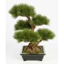 Pino bonsai finto TAYLOR, radici, ciotola ceramica, verde, 70cm