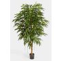 Longifolia regale artificiale HISA, tronco naturale, verde, 180cm