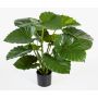 Pianta di alocasia sintetica SALONI, verde, 75cm