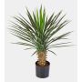 Palma yucca rostrata artificiale RAFFAELA, 80cm