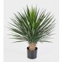 Palma yucca rostrata finta RAFFAELA, 80cm