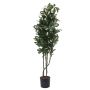 Schefflera falsa PAMINA, tronchi artificiali, verde-bianco, 120cm