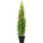 Cedro finto MINNA, in coprivaso uv resistente, verde chiaro, 120cm