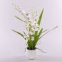 Oncidium finta SHANIA vaso ceramica, bianco-marrone, 50cm, Ø3-4cm