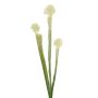 Succulenta artificiale Sarracenia SIMANA su stelo, bianco-verde, 65 cm