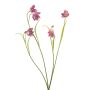 Ramo artificiale di fritillaria PITARA, rosa-bianco, 50 cm
