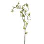 Ramo decorativo di nocciolo SIHAO con amenti, verde, 100 cm