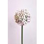 Allium artificiale LOKJAN, bianco-viola, 70 cm