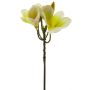 Fiore artificiale di frangipani ZIDONG, giallo-crema, 35 cm