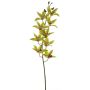 Ramo decorativo di orchidea cymbidium YAMEI, verde-rosa, 80 cm