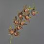 Ramo decorativo di orchidea cymbidium YAMEI, rosso scuro-verde, 80cm