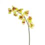Orchidea Cymbidium di plastica OKSANA, giallo-verde, 80cm, Ø6,5cm