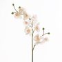 Ramo di orchidea di plastica STINA, bianco, 90cm, Ø7-9cm