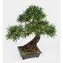 Podocarpo bonsai finto MASAO radici, ciotola ceramica, verde 85cm