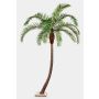 Palma da dattero artificiale HARPER, 300cm