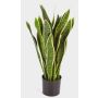 Sansevieria artificiale BEYZA, verde-giallo, 80cm
