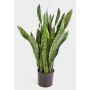 Sansevieria artificiale BEYZA, verde, 95cm
