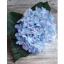 Bouquet di ortensie artificiali LILLIE, blu-rosa, 20cm