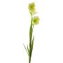 Campanula artificiale WENXIN, verde crema, 80 cm