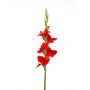 Gladio artificiale KIVANA, rosso, 90 cm