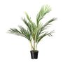 Palma decorativa Areca YONNE, 70 cm