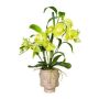 Composizione artificiale Orchidea Bambù MARAKI in vaso di cemento Buddha, radici, verde chiaro, 60 cm