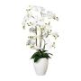 Fiore decorativo orchidea Phalaenopsis VELTORI, vaso in ceramica, bianco, 110 cm