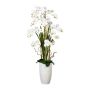 Composizione floreale artificiale orchidea salice contorto TENIKA, vaso in ceramica, radici, bianco, 160cm