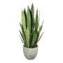 Pianta succulenta decorativa Sansevieria SNARLY in vaso in melamina, verde, 80 cm