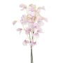 Mazzo decorativo di Lathyrus KIDO, rosa-bianco, 50 cm