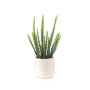 Cactus artificiale Euphorbia trigona NORSHE in vaso decorativo, verde, 28 cm