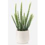 Cactus artificiale Euphorbia sipolisii NORSHO in vaso decorativo, verde, 28 cm