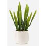 Cactus artificiale Euphorbia trigona NORSHO in vaso decorativo, verde, 28 cm