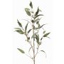 Ramo artificiale eucalipto JURKA con frutti, verde-grigio, 115 cm