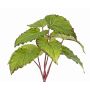 Begonia artificiale KATRICE su bastoncino, difficilmente infiammabile, verde, 25 cm