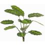Pianta artificiale Calathea roseopicta WENFYN, bastoncino, verde, 55cm