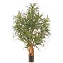 Albero artificiale Dracaena reflexa anita SENFYN, tronchi naturali, verde, 95 cm