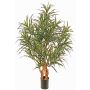Albero artificiale Dracaena reflexa anita SENFYN, tronchi naturali, verde, 95cm