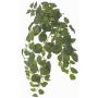 Pianta artificiale Fittonia LONFYN, bastoncino, pendente, verde, 75cm