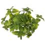 Menta decorativa WONFYN, bastoncino, verde, 20 cm