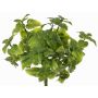 Menta decorativa WONFYN, bastoncino, verde, 20cm